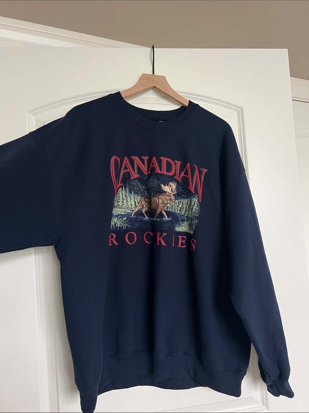 Canadian Rockies Graphic Crewneck Sweatshirt - Navy
